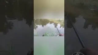 Khyrwit u Jingbam Khwai Rong Saw (Fishing Master Bait)