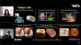 Invited talk Artificial Intelligence Assisted Surgery for Next Generation Interventions RSIP Webinar