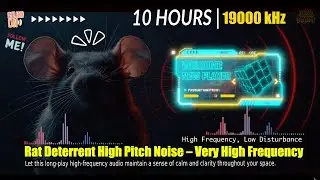 🔊🐀 Rat Deterrent High Pitch Noise &ndash; Very High Frequency Ultrasonic Sound | Continuous Rodent Audio
