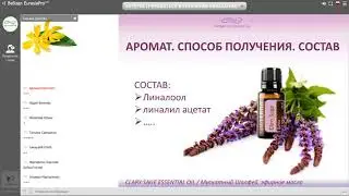 Шалфей  Clary Sage - трава бессмертия