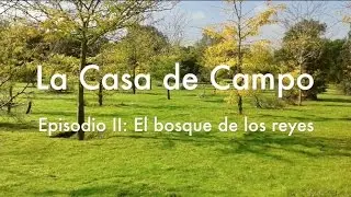 Historia de la Casa de Campo. Episodio II: El bosque de los reyes