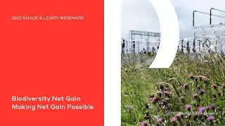 Biodiversity Net Gain &ndash; Making Net Gain Possible
