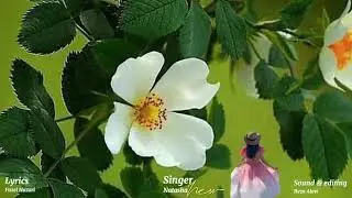 ناگهان آينه حيران شد  شعر از ابواحسن ورزى 