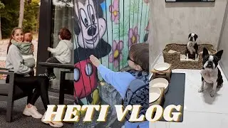 HETI VLOG | Utazás, Ovikezdés, Események, Kutyafürdetés, Új kutyafekhely♡