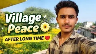 Village Rooftop Vlog 🌼 | Sarson Ke Phool & Peaceful Morning | After Long Time ❤️