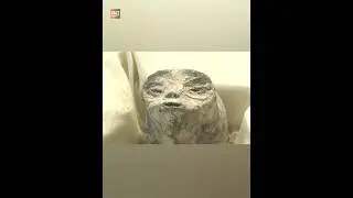 Reality Of Mexican Alien |😲😲| #shorts