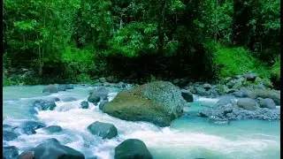 Soothing Water Flowing Ambience for Sleep and Deep Relaxation