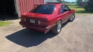 Another random idle clip. 302, SVO heads, unknown cam and mufflers