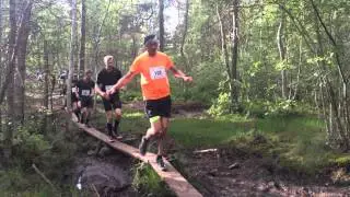 Traill&ouml;pning