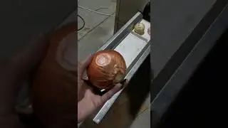 Automatic onion root head tail cutting machine