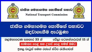 National Transport Job Vacancies 2026 | Government Job Updates Sinhala