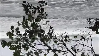 #AURINGPH || TYPHOON AURING | TROPICAL DEPRESSION AURING |` FIRST TYPHOON OF THE YEAR 2021