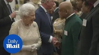 The Queen receives Commonwealth leaders at Buckingham Palace - Daily Mail