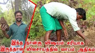 லாபகரமான முறையில் விவசாயம் செய்ய விவசாயிகள் இந்த நான்கு விஷயம் கண்டிப்பாக தெரிந்த இருக்க வேண்டும்