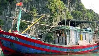 Catba Overnight cruise #indochinejunk