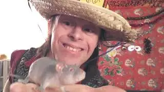 Great New Years Toasts With Fun Party Tricks Festive PranksGoodTimeGags&2020'sYear Of The Rat Magic#