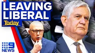 Former Indigenous Affairs Minister Ken Wyatt quits Liberal Party | 9 News Australia
