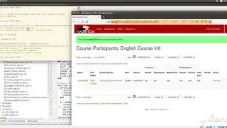 Expertiza Internationalization - testing demo capybara