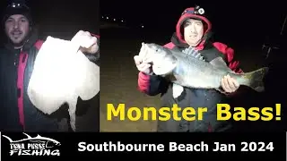Monster Bass on Southbourne Beach! | Small eyed Rays| Tuna Purse Fishing
