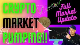 Криптовалюты в пузыре? Вот что говорят индикаторы