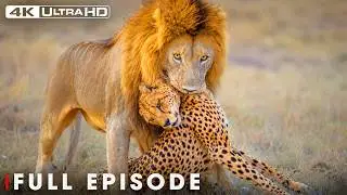 Deadliest Predators | Only the Strongest Survive | FULL EPISODE | Wildlife Documentary