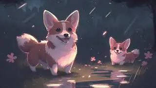 Quiet Night Music🎵Beats To Relax   Chill To🌞 Lofi Corgi
