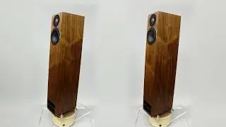 PMC Twenty5 23 Walnut