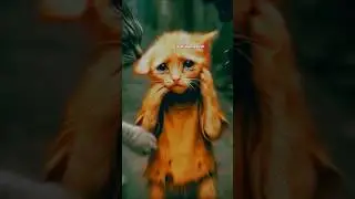 Weak Cat Becomes a Strong Bodybuilder#catvedio #cutecat #catshorts #shorts #shortfeed #catmodel