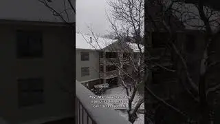 #snow #snowfall #yju&rsquo;scooking #snowinusa #snowdays  #studentlife