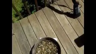 Turning Ammo Brass Into Cash
