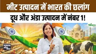 Pashupalan Export Report 2025: अंडा, मीट और डेयरी, जानिए किसका हुआ सबसे ज्यादा एक्सपोर्ट। Dairy Farm