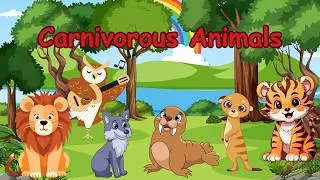 Carnivorous Animals | Flesh Eating Animals | Meat Eating Animals | Predators of the Wild | Animals