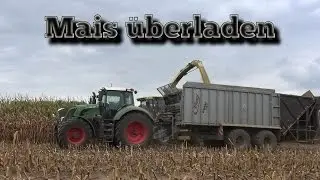 Maisernte 2016  - Fliegl Überlade Technik - Krone Big X 500 - [Niedersachsen] [Kreis ROW]