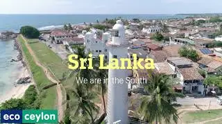 Explore the Fort city of Galle.