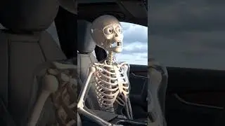 How Long Can You Drive Before Your Body Shuts Down?