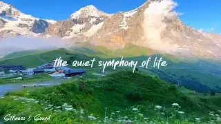 the quiet symphony of life -- (a playlist for tranquil days)