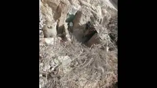 القرنه الوجدان 