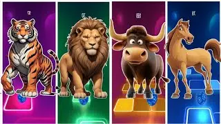 Funny tiger 🐅🆚 funny loin 🐯 🆚 funny Bull 🐂🆚 funny horse 🐴 animals coffindance tiles Hop EDM Rush 