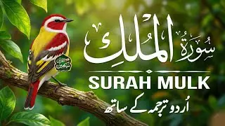 Surah Al-Mulk (سورة الملك) | Peaceful Quran Tilawat to Relax the Heart & Mind | With Urdu Tarjuma