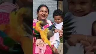 #pandiyan #cholan #thanjavur #payanam #vlogs #family #familyvlog #familytime #tamilan