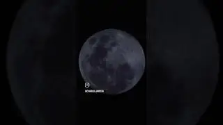 #FullMoon #SnowMoon #ChandaRe #selenophile #MyPhone #OnePlusOpen