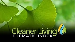 Introducing the Cleaner Living Index