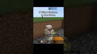5 Wither Skeleton vs Iron Golem #minecraft #gaming #mha #remix #song