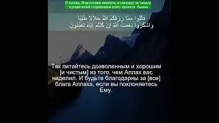 Коран Сура Ан-Нахль | 16:114 | Чтение Корана с русским переводом | #рамадан2024 #quran