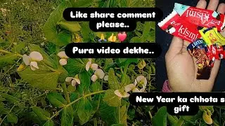 smitasoni is live (happy new year)ka chhota sa gift (@smitasoni-scp3)like share comment please 🙏👍❤️