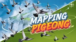 The Magnetic Field Mapping of the Homing Pigeon