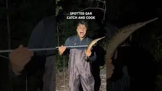 Spotted Gar CATCH AND COOK