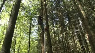 Grün Team - Wertästung im Distelleiterverfahren