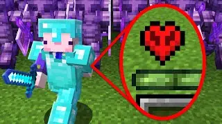 I Survived A Hardcore SMP On 1 Heart