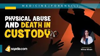 Physical Abuse and Death in Custody - Introduction